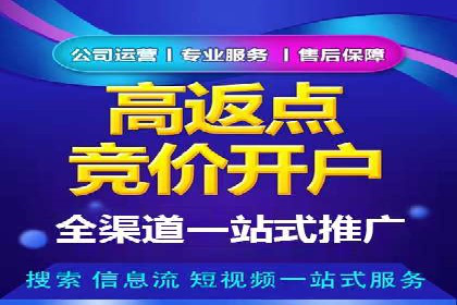 百度推广公司案例解析：如何利用大数据优化营销策略