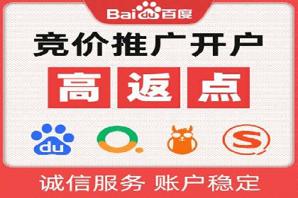 某电商平台的SEM运营实战与效果分析